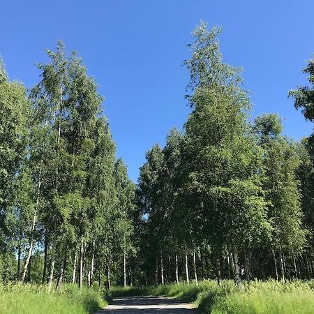 Stort Hus I Porsgrunn Sentrum Med Gangavstand Til "Alt" & Gratis Parkering Til Flere Biler エクステリア 写真