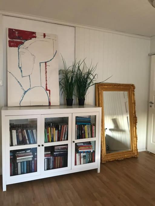 Stort Hus I Porsgrunn Sentrum Med Gangavstand Til "Alt" & Gratis Parkering Til Flere Biler エクステリア 写真