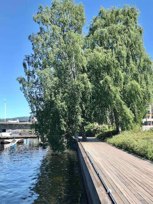 Stort Hus I Porsgrunn Sentrum Med Gangavstand Til "Alt" & Gratis Parkering Til Flere Biler エクステリア 写真