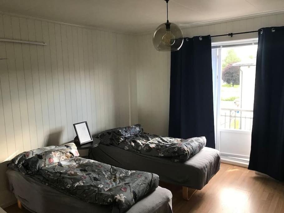 Stort Hus I Porsgrunn Sentrum Med Gangavstand Til "Alt" & Gratis Parkering Til Flere Biler エクステリア 写真